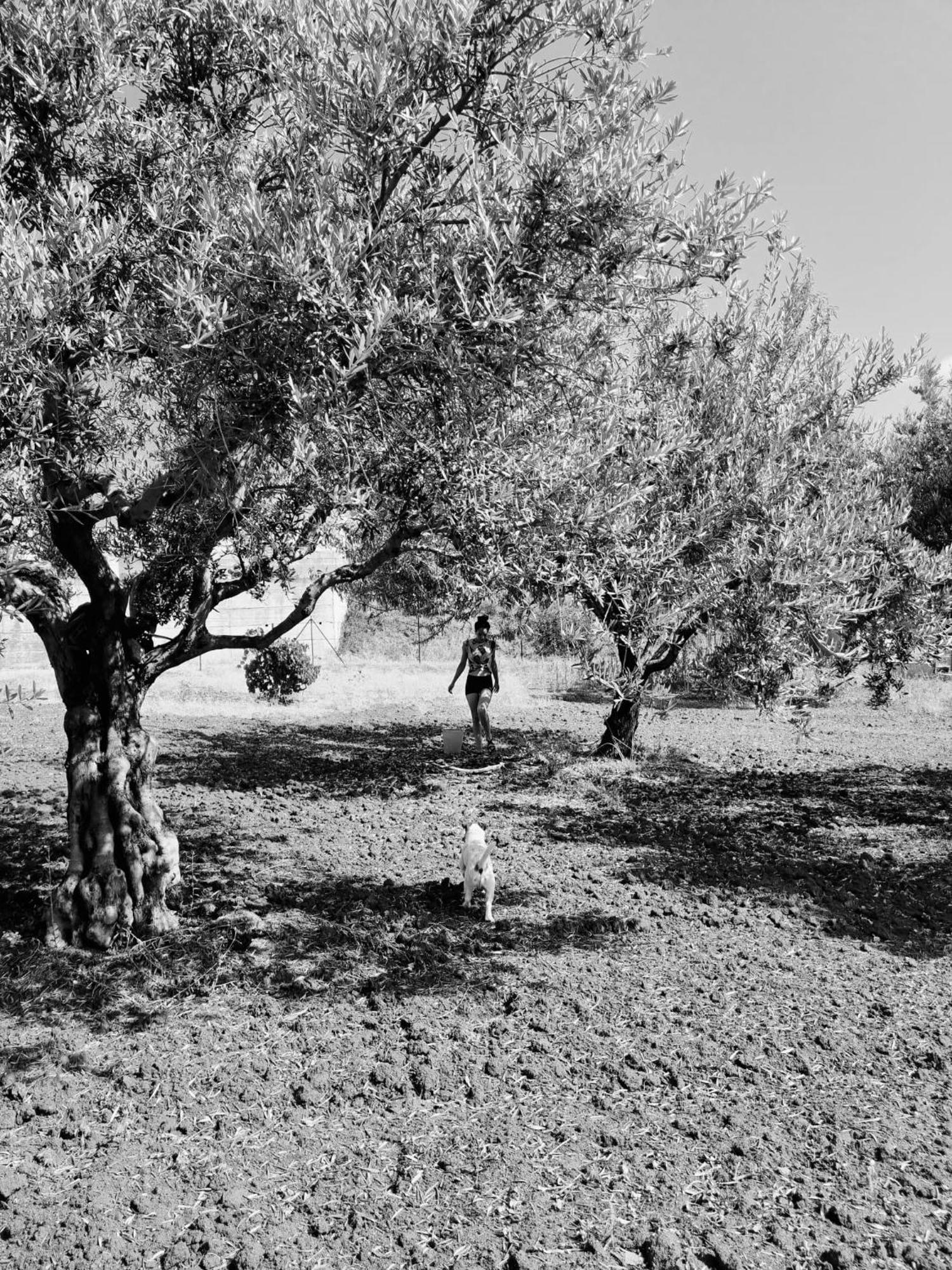Villa Maria Teresa Capo Vaticano Εξωτερικό φωτογραφία